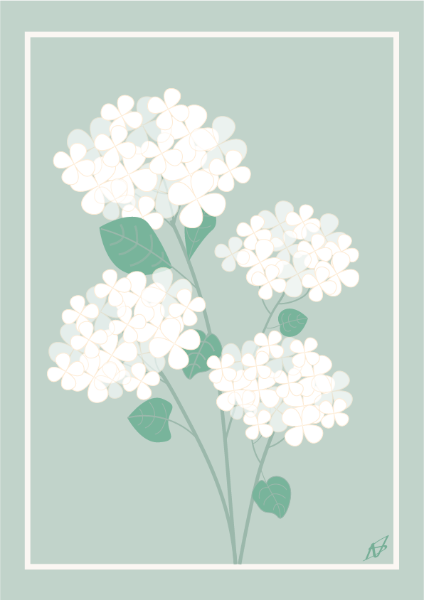 Plakat med illustration af hyacint